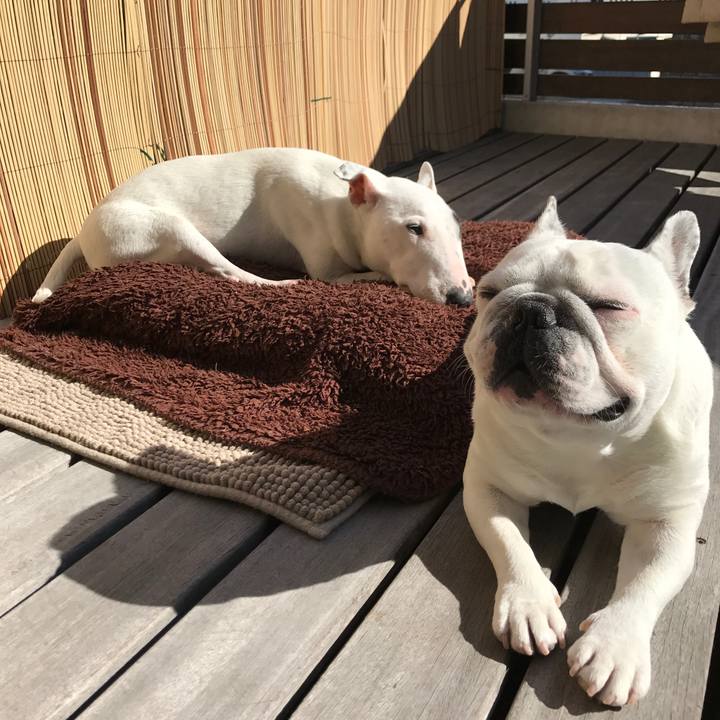 50b0f3d6 3771 4b54 b342 4a3e714a40de 1511230506851