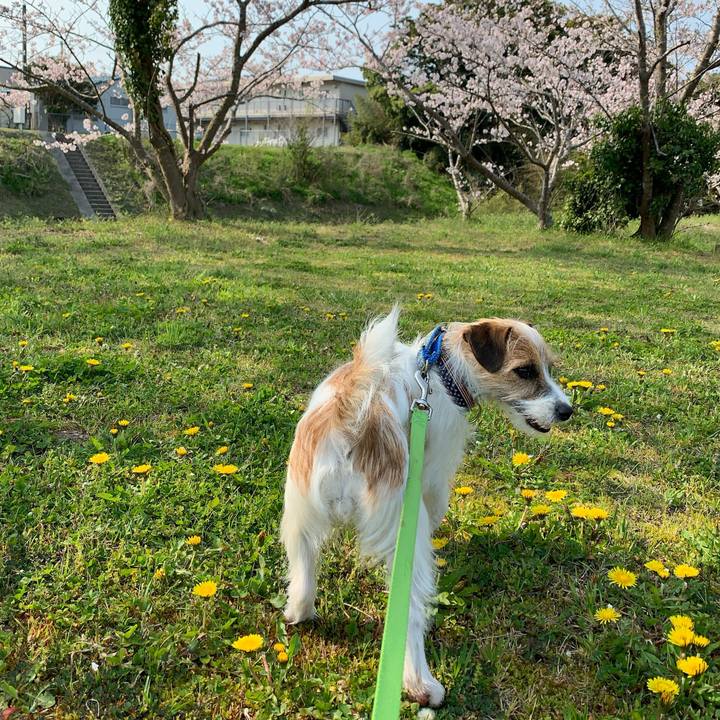 50b112bb d9fa 43b1 ae33 8c24e889b259 1775568226110