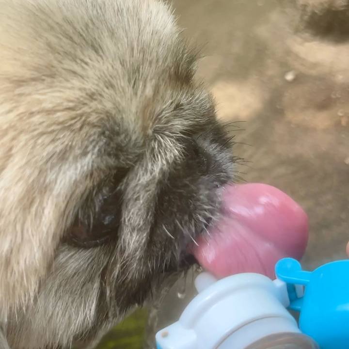 50b11720 6230 44c0 a6e7 0346ff75a272 1721964689273