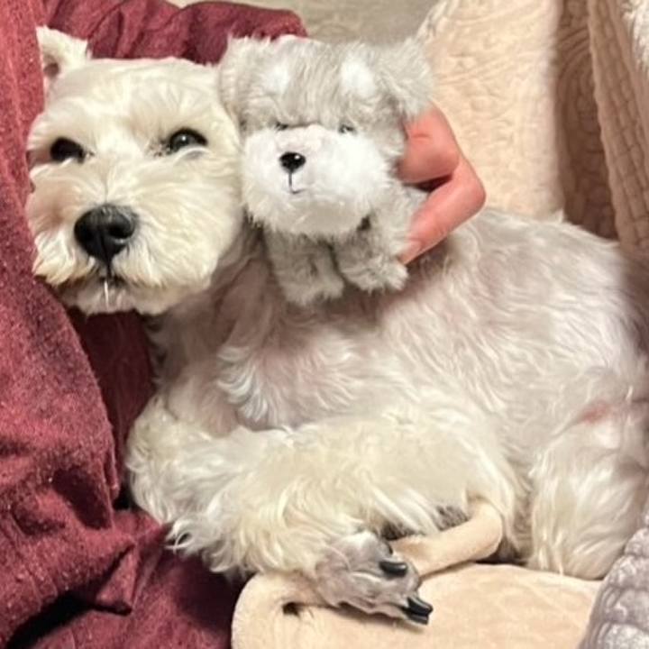 50b11ce4 2c40 447e b045 ca945315ae55 1774532687564