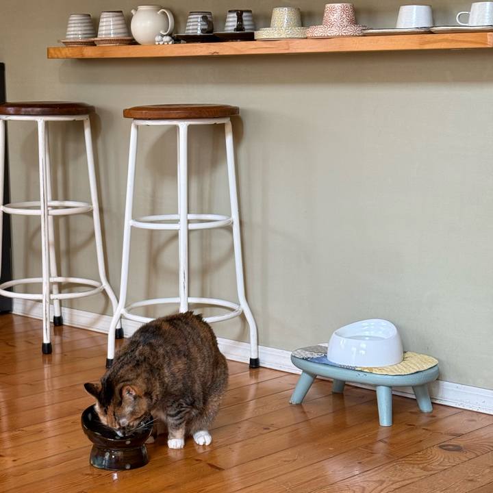 50b14c64 f49e 441a a79b fdbcc0e80236 1773875629750