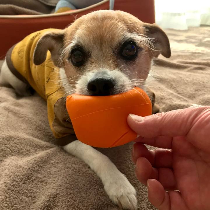 50b14ebb 5d50 4cc9 b6fd 9eeaecb69708 1608856817806