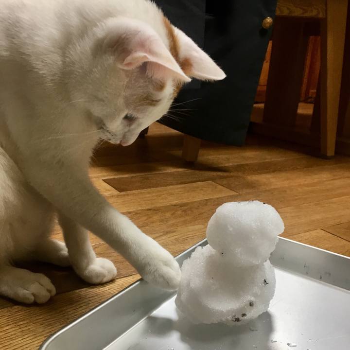 50b15700 ca49 4b17 a408 11a903b20838 1515575972354