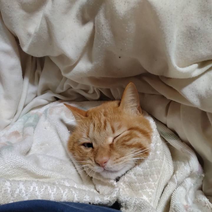 50b159f2 d866 44da a9e5 7c87521704ac 1708516520225