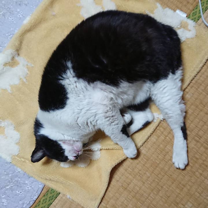 50b15b05 0f05 409f 972d 16ff41221ca7 1648821506873