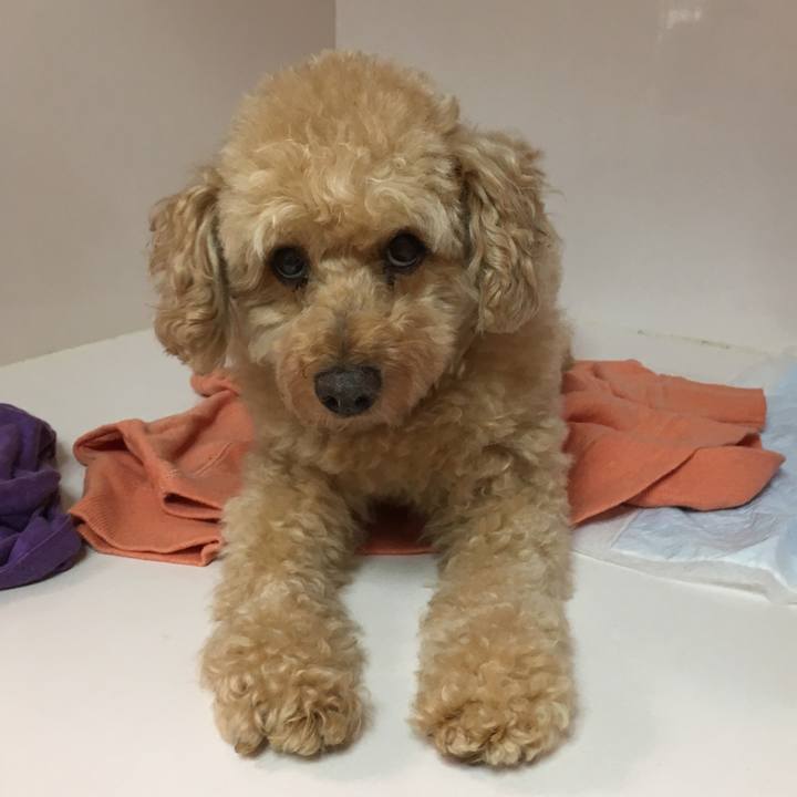 50b19ed1 af51 4087 9903 c47f2e08d2e5 1508303672716