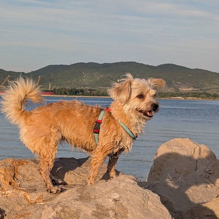 50b1e764 2033 429f a15c a032d947dab5 1756152265108