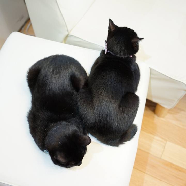 50b20464 0ac7 4ffb 8dfd 5806af6016fc 1517354487096