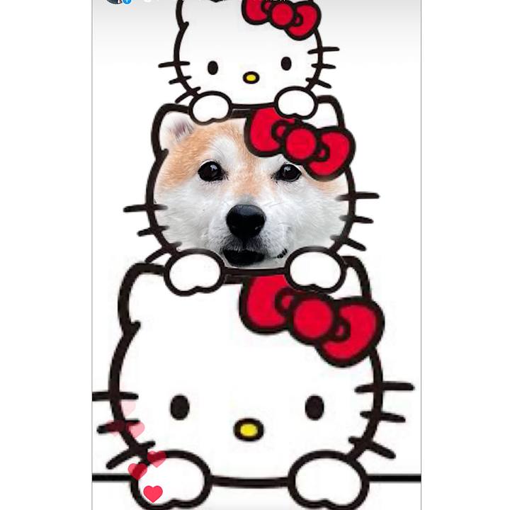 50b209b0 357d 46d8 b819 895386f3a46d 1722033487983