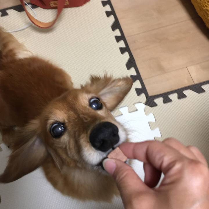 50b21592 0314 4079 82d5 fc5b7418f40c 1622551307579