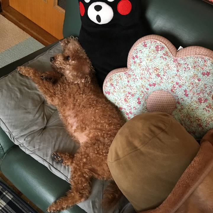 50b22283 2bc9 4a82 b20e ec6bd5d0d3c7 1510101448791