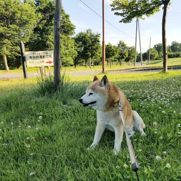 50b28988 91fa 4115 ba51 6a7934e685bb 1685953183751