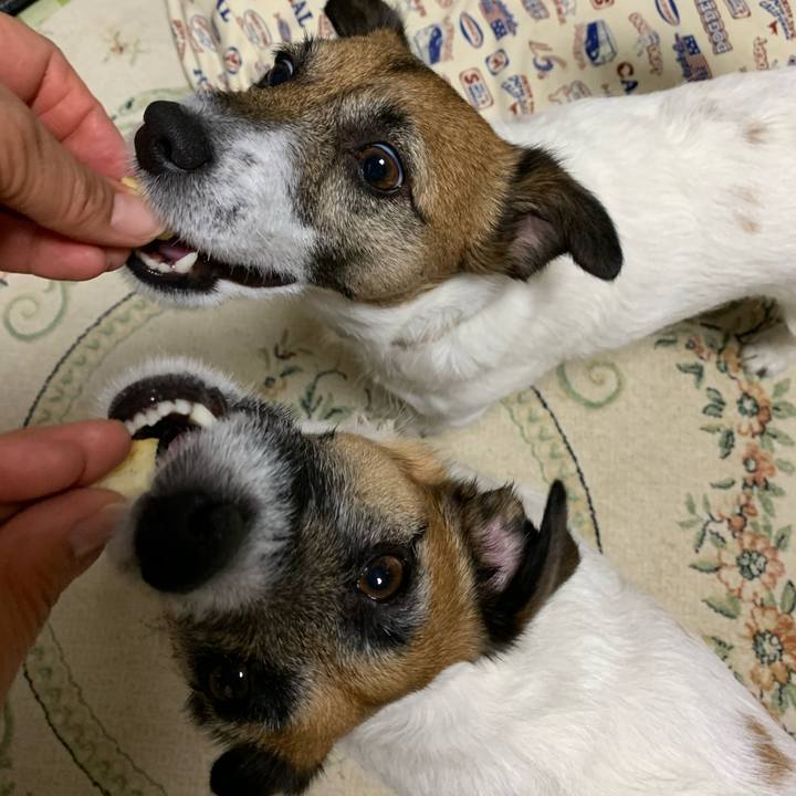 50b2ad36 5566 45f0 a611 d7e01f8e7705 1589722987762