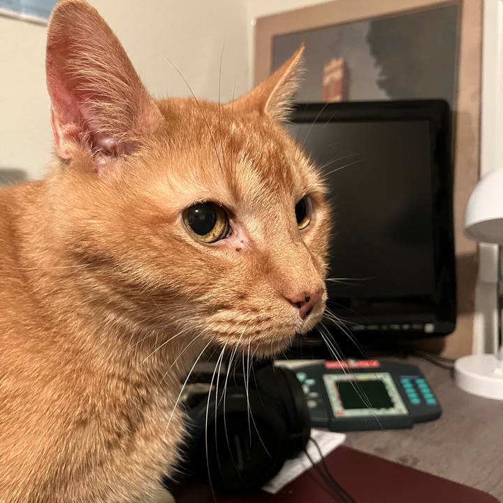 50b2dd63 ff6b 478a 8c64 d1e4a14c0008 1703702511891