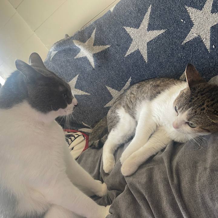 50b301dc 0217 4716 8a61 cae92a7fd409 1633143987557