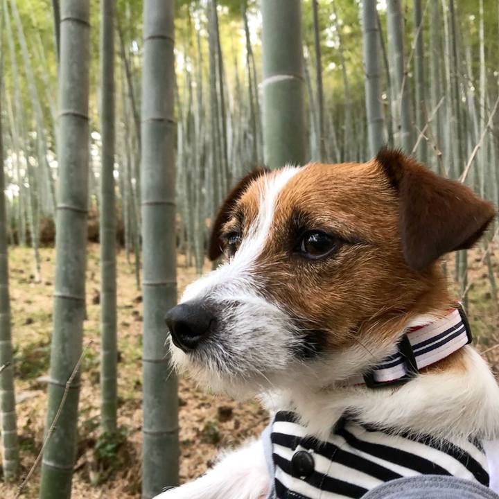 50b329ab d0e8 47b2 9008 b726df21f3a0 1523621802402