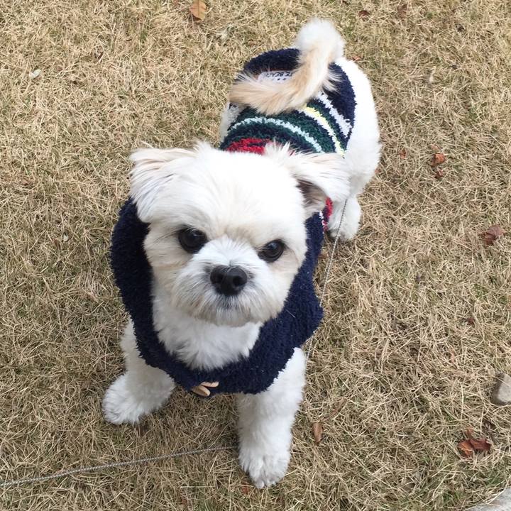 50b35c88 af2a 4b71 98b2 4a26c7aea328 1512393622865