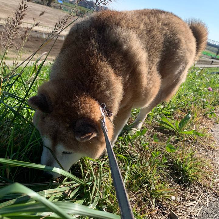 50b39c4e 51c8 49a8 ba5f 03b3ae8ab624 1573359057782