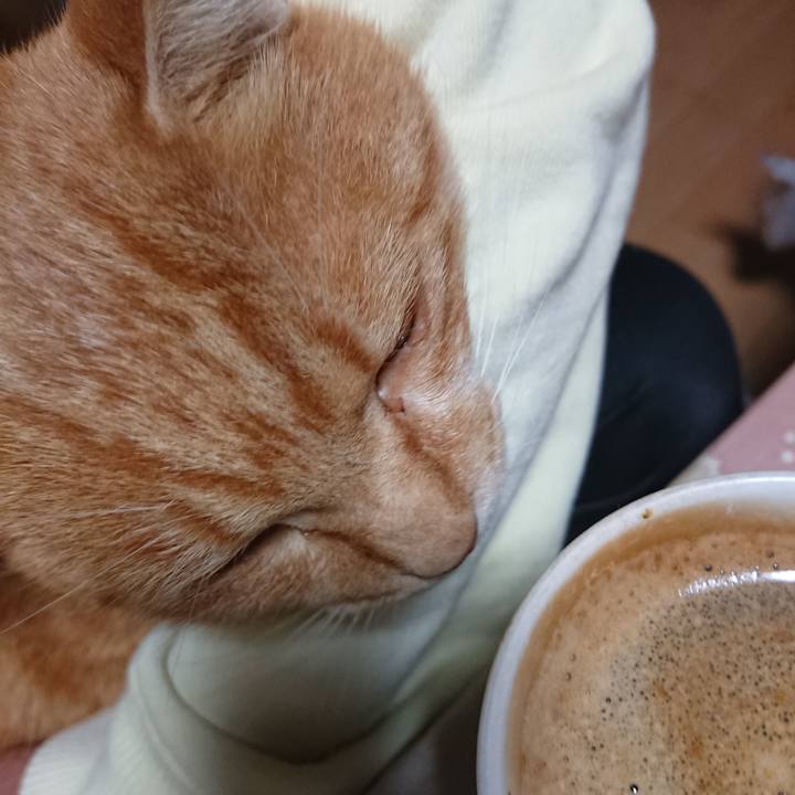 50b3a2e4 0f0b 422c ac74 68c39a719daf 1604000832891