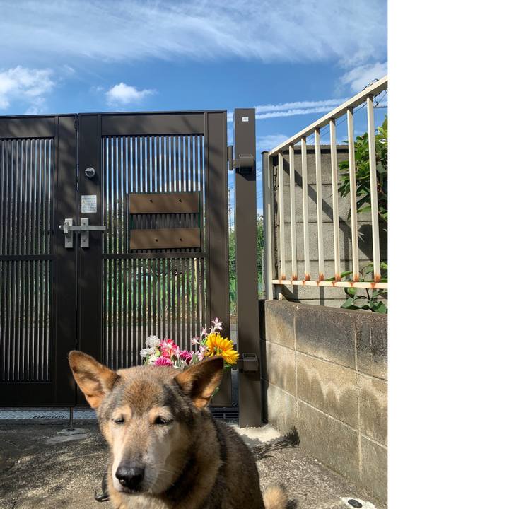 50b3aaf4 c373 4dcd abdf 56175d995a2c 1569730137828