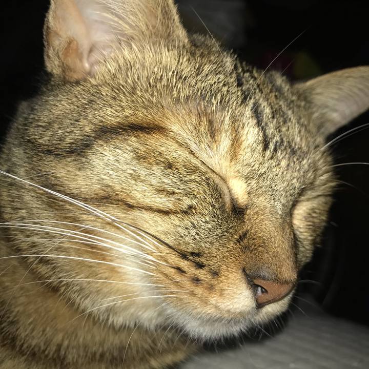 50b3b556 2d51 4784 9ee8 9487c05c62a8 1595725441324