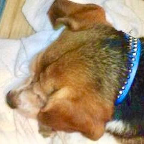 50b3d586 46c4 48e5 86dc b14ec9977742 1759191011690