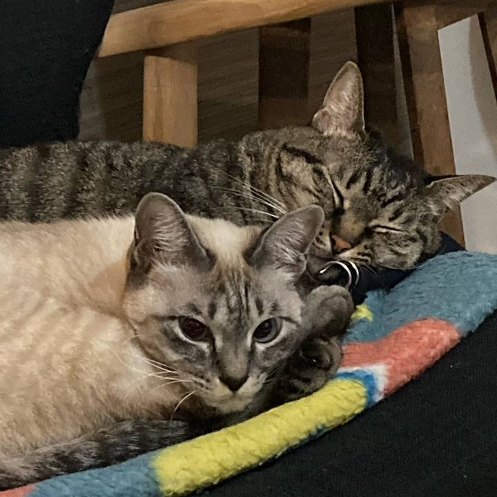 50b40a00 8469 407c 90d3 fd2509d5113f 1607342364570