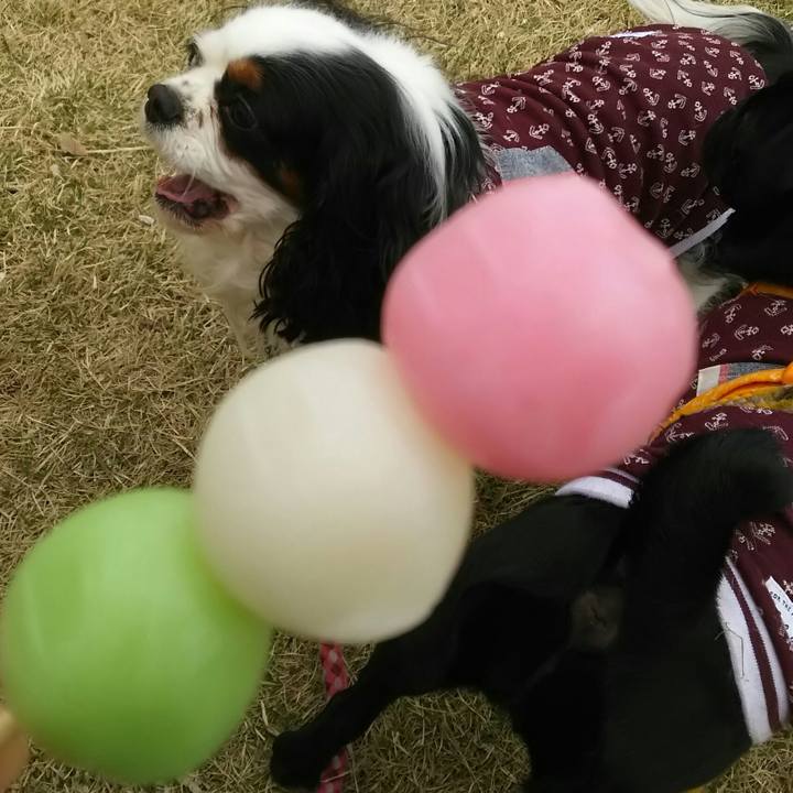 50b40bf2 68d0 4623 bfbf c8d28db656cf 1523806527602