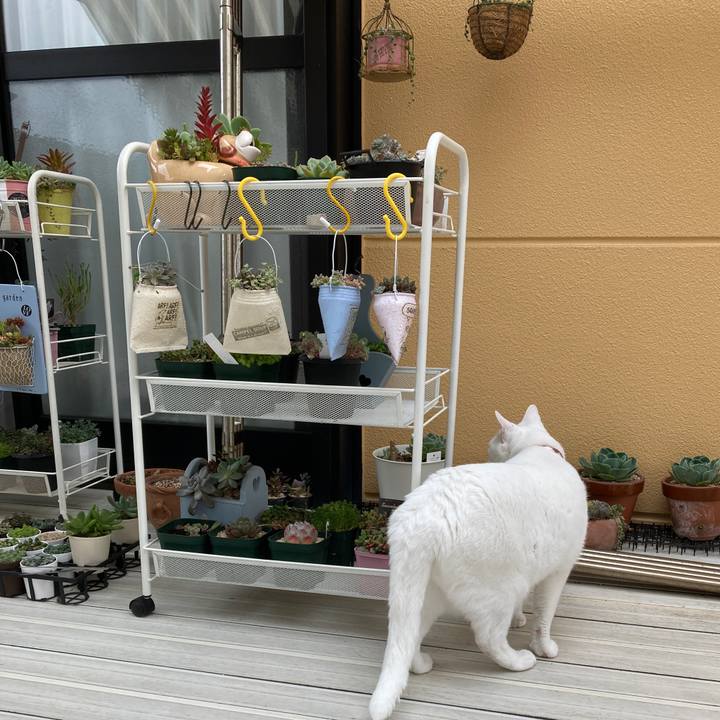 50b40c0c 8af6 4988 9e70 a3538a29b119 1653262704109