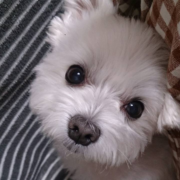 50b477d0 ef13 4326 942a 32454ad8a2c2 1507853308766