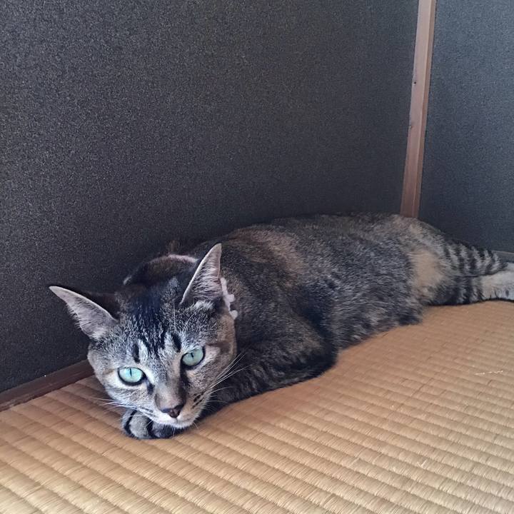 50b4e89e e93b 48f8 badb eb94316ea784 1597393421369