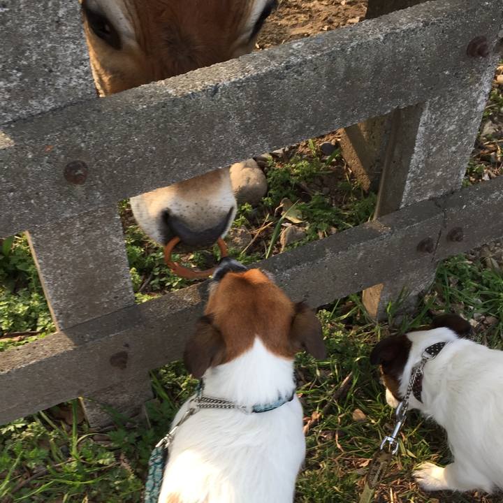 50b50646 fc6a 40cc 9f0f fd3c6bd78170 1555630792196