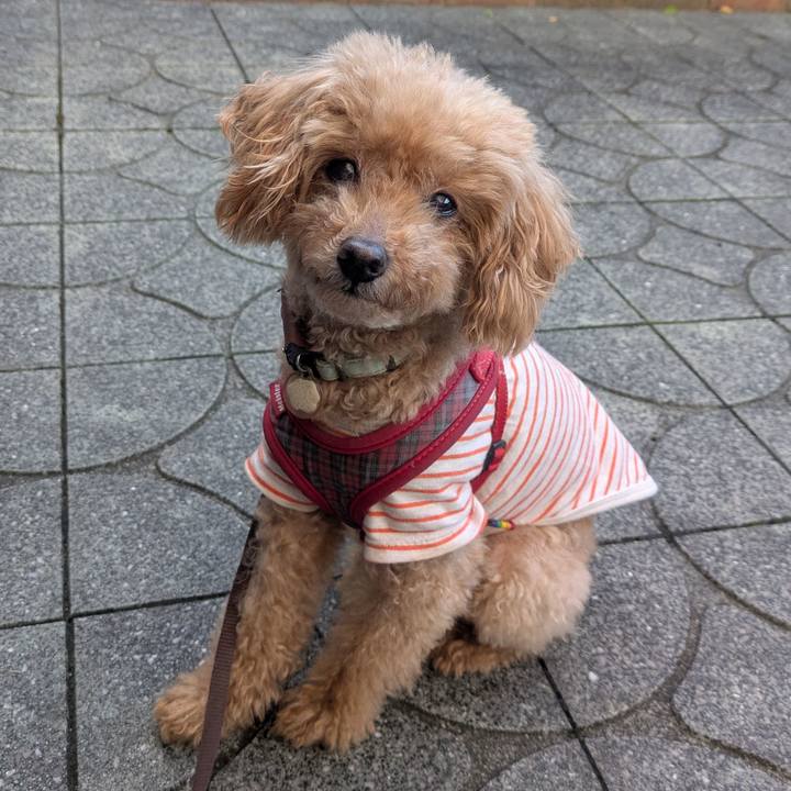 50b537a7 d581 4812 aa9d 65c957994c8b 1761172694316