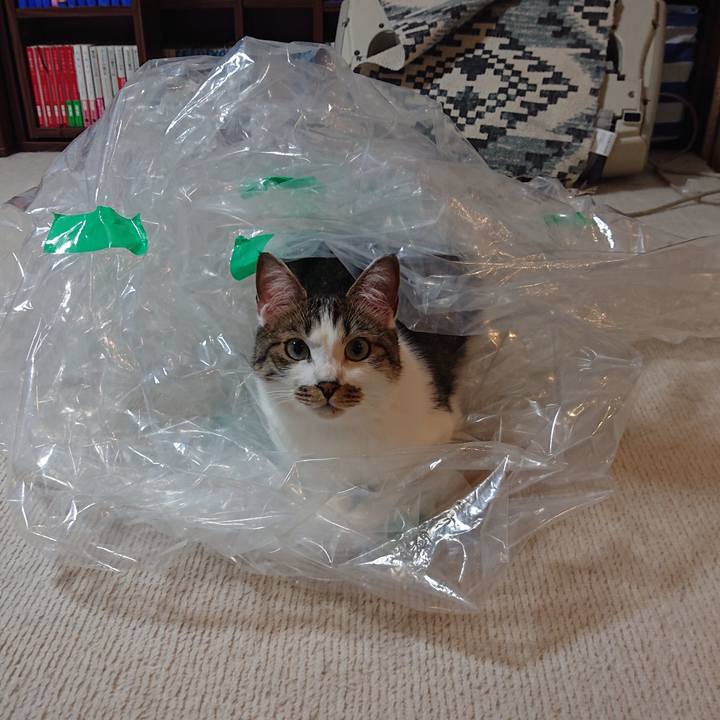 50b537ec 8831 4e7f ae25 8b7d909e5c23 1655861336288