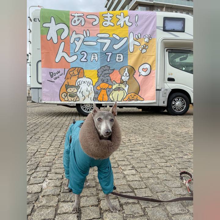 50b549c1 21c8 4e54 980a cf827ff15d56 1770451242213