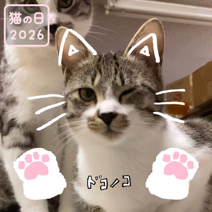 50b55317 d707 4a85 993d a950442628e5 1771693622125