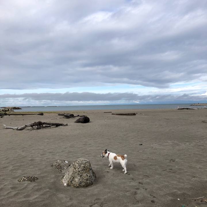 50b55b68 ab16 457f b3e9 09d7e2175c85 1601076507105