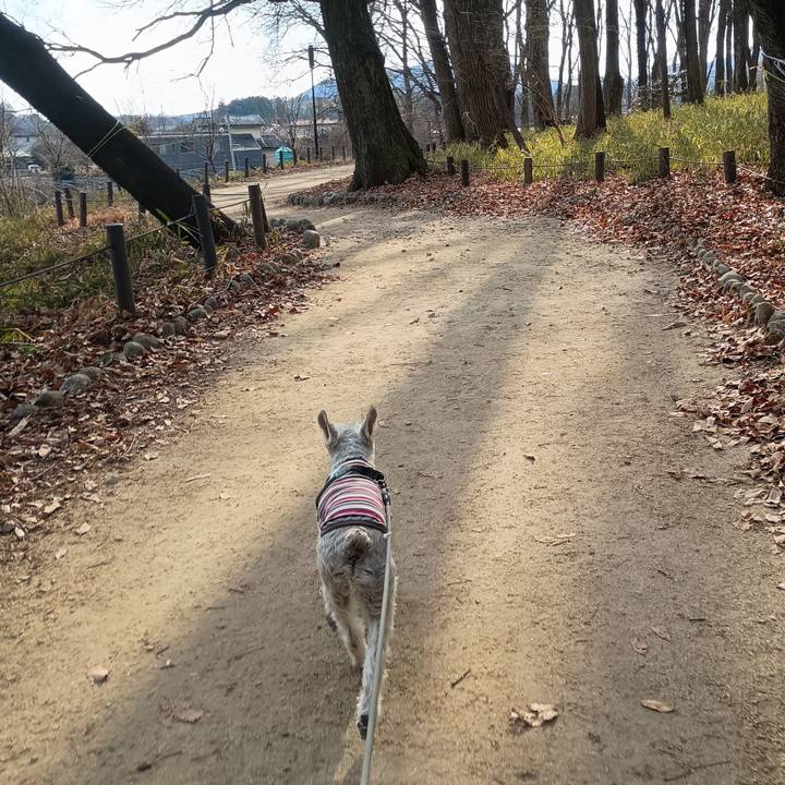 50b5797b 1c74 47b4 86f2 580fec51d6f5 1770982886102