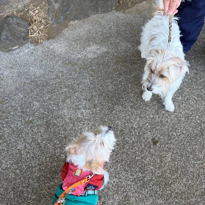 50b57ac4 f76f 4d45 b7dd 3142016322b9 1768197722262