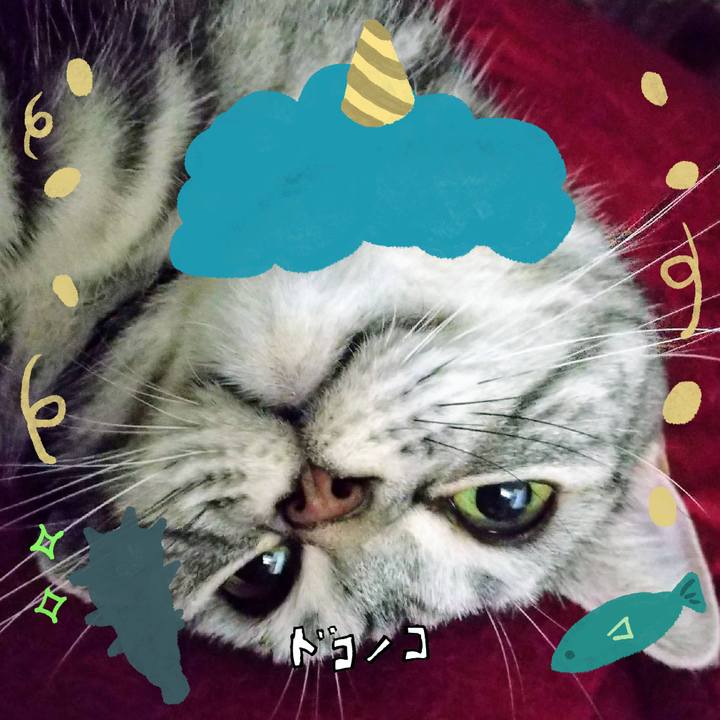 50b58024 0b37 4769 8542 581eaf0208e0 1707088680758