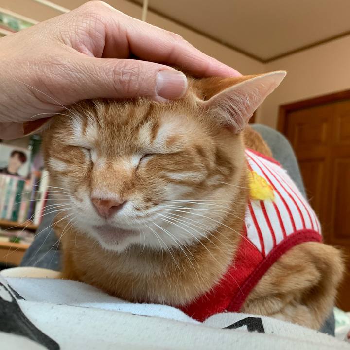 50b58e77 8f38 4cd9 baaa 3747c23a96c3 1587764303092