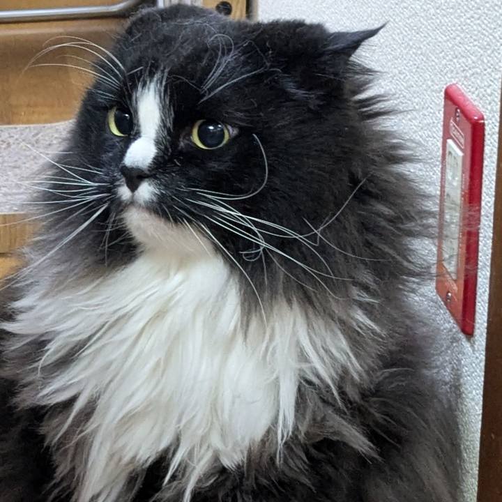 50b5953c b31e 4557 ae4a 9eb877ec7b37 1774957972643