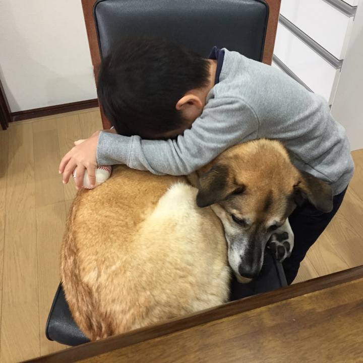 50b5a6e3 d947 46b8 9499 ce6a4fc36a15 1546230003366