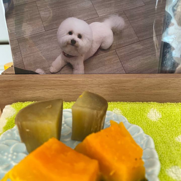 50b5c0f4 2ea3 42a0 a85b e932e56cdc51 1738367339019