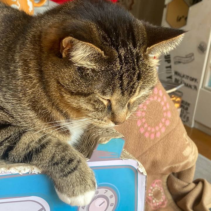 50b5e45c 6ada 40db 9879 1180b5f04210 1679193416499