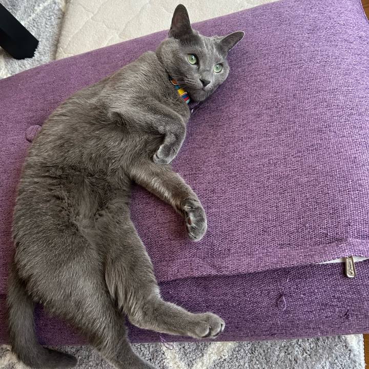 50b5ebdd 73cc 4150 85b7 93225ab4297d 1690355634993