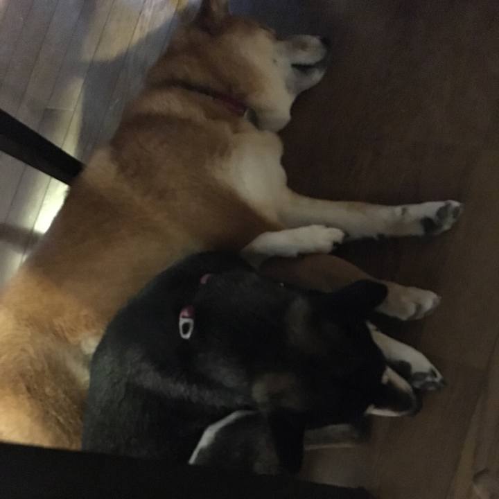 50b6230e aca3 42aa 8da6 c52abeb2a518 1509751366663