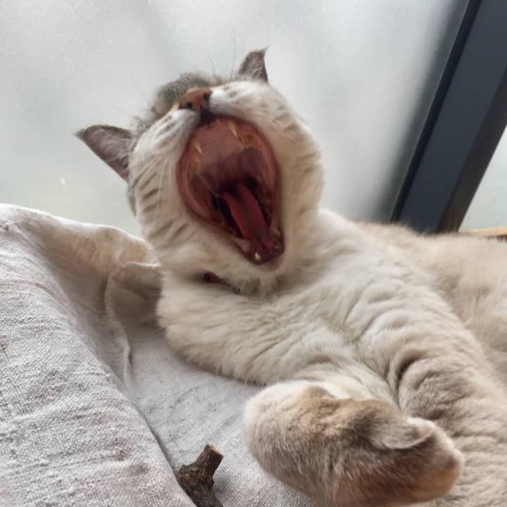 50b65980 9629 47df b86b 769344ab1063 1561725300905