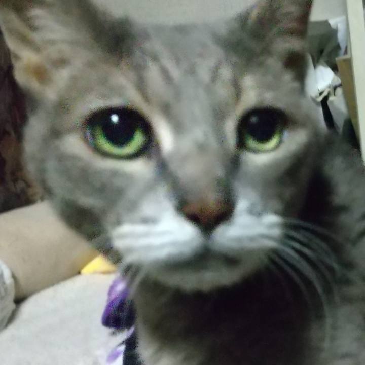 50b659d6 66b3 4fd5 b9e8 d9647e032d1d 1699870549534