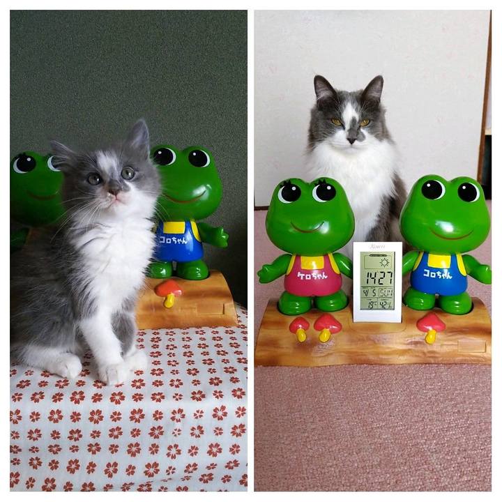 50b65ea3 b199 452d 8cae c1a9b5f060bb 1586065719155